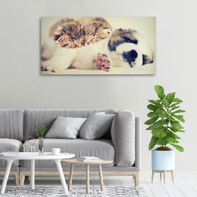 Tableau imprimé sur toile Deux chats et un chien