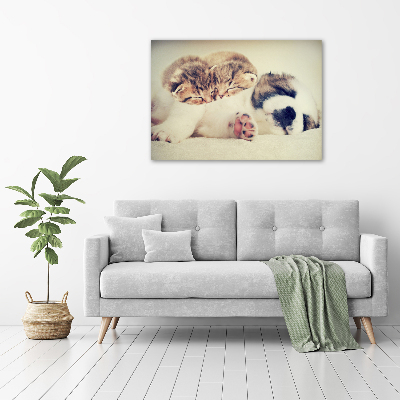 Tableau imprimé sur toile Deux chats et un chien