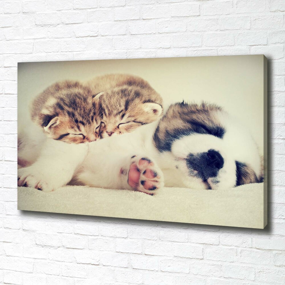 Tableau imprimé sur toile Deux chats et un chien