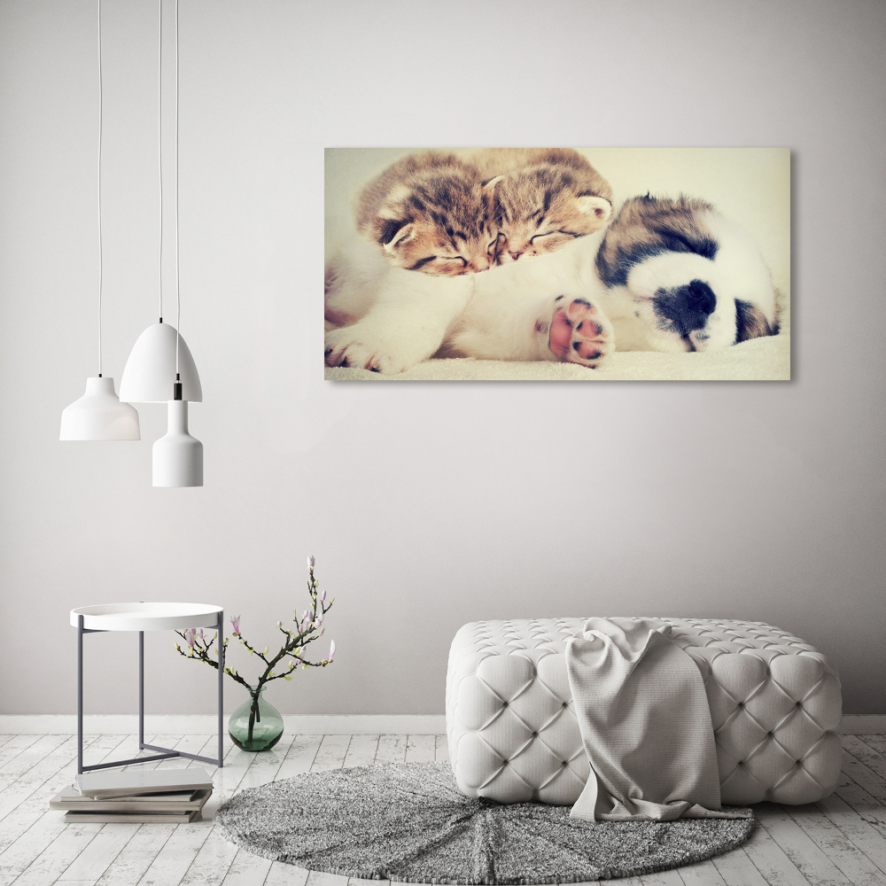 Tableau imprimé sur toile Deux chats et un chien