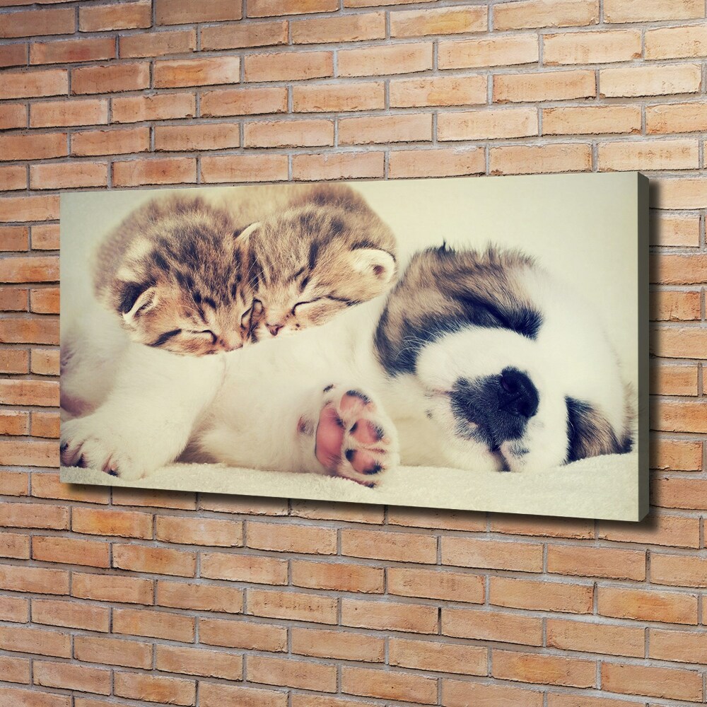 Tableau imprimé sur toile Deux chats et un chien