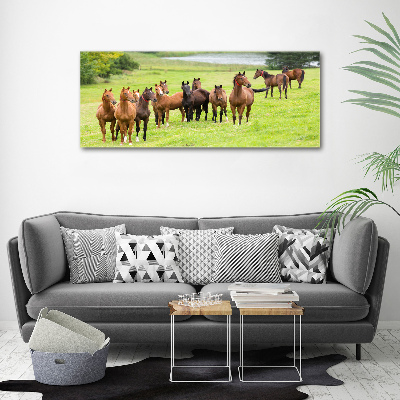 Tableau sur toile Troupeau de chevaux dans un pré