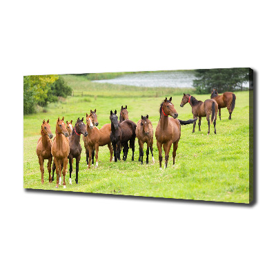 Tableau sur toile Troupeau de chevaux dans un pré