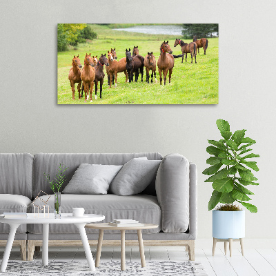 Tableau sur toile Troupeau de chevaux dans un pré