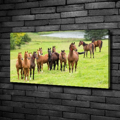 Tableau sur toile Troupeau de chevaux dans un pré