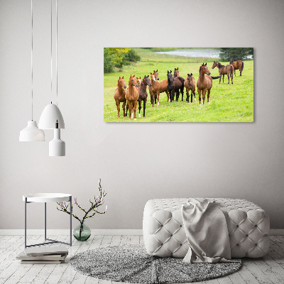 Tableau sur toile Troupeau de chevaux dans un pré