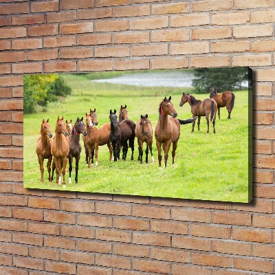 Tableau sur toile Troupeau de chevaux dans un pré