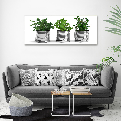 Tableau mural sur toile Plantes aromatiques