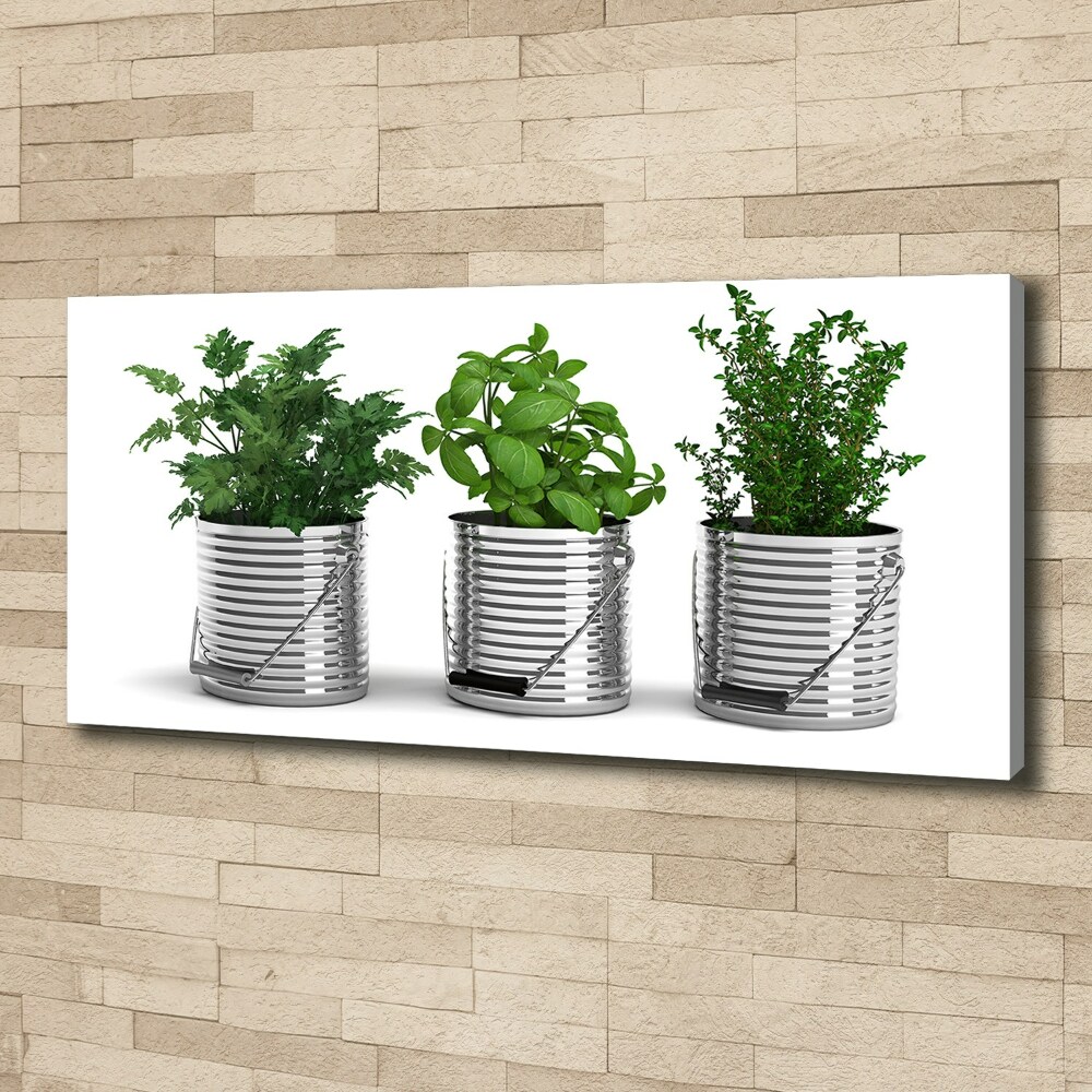 Tableau mural sur toile Plantes aromatiques