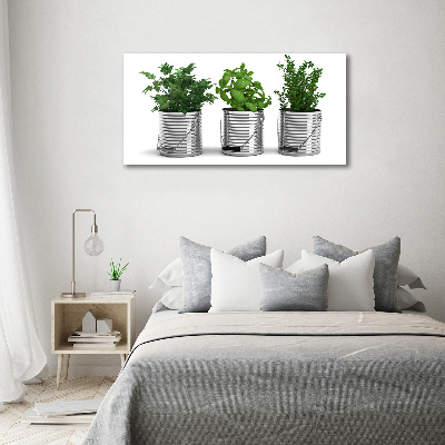 Tableau mural sur toile Plantes aromatiques