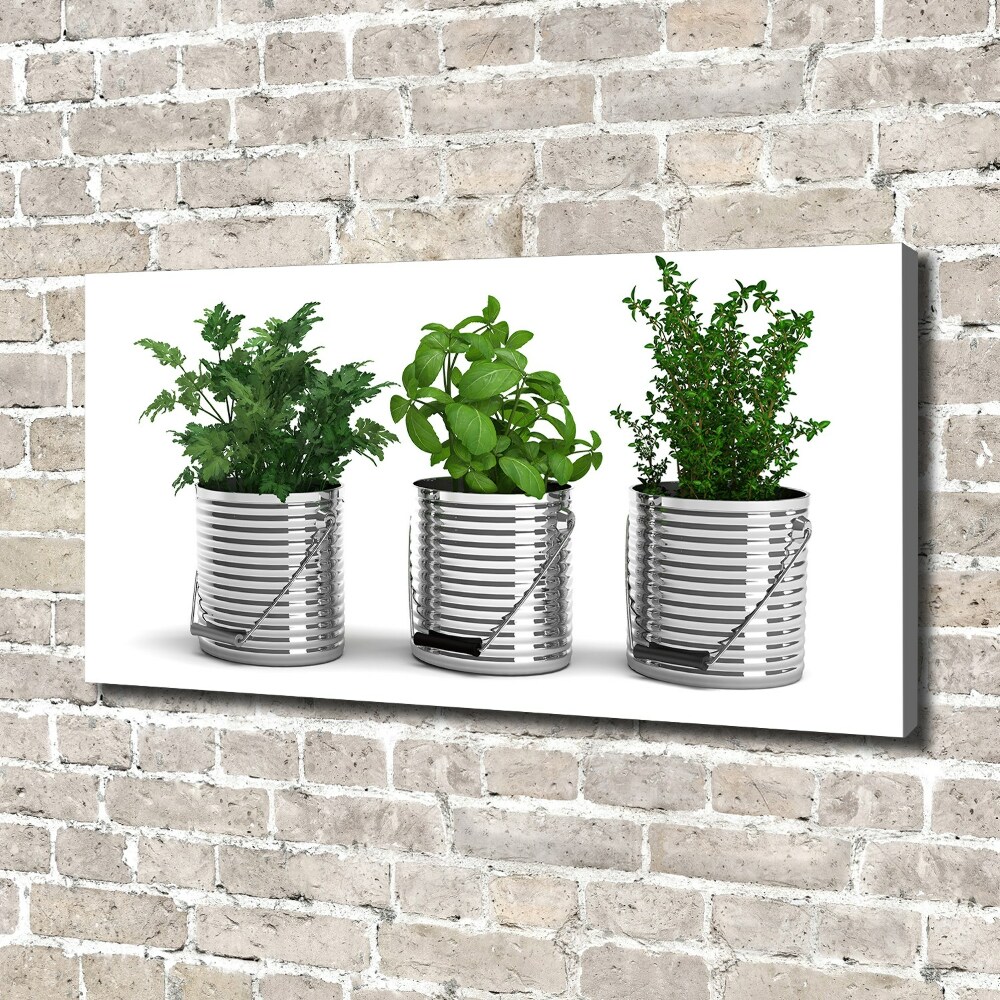 Tableau mural sur toile Plantes aromatiques