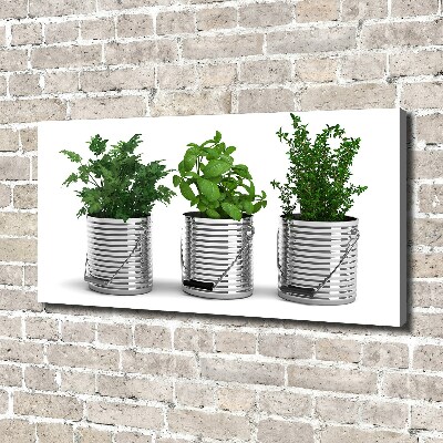 Tableau mural sur toile Plantes aromatiques