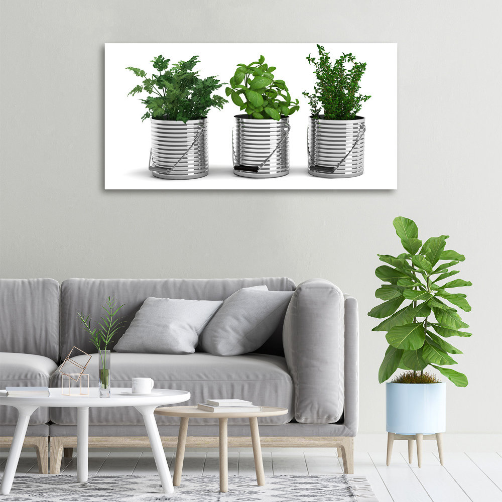 Tableau mural sur toile Plantes aromatiques