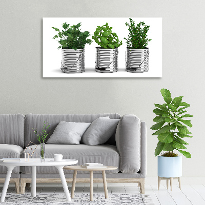 Tableau mural sur toile Plantes aromatiques