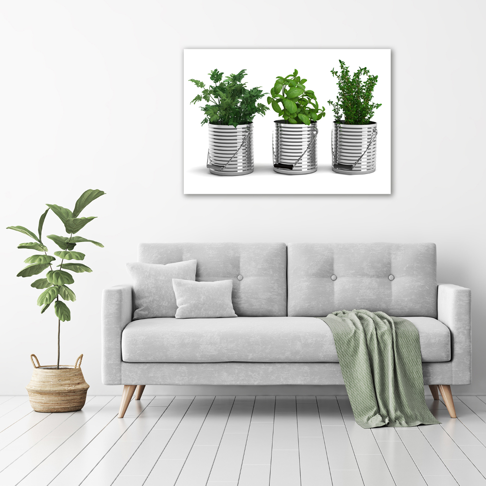 Tableau mural sur toile Plantes aromatiques