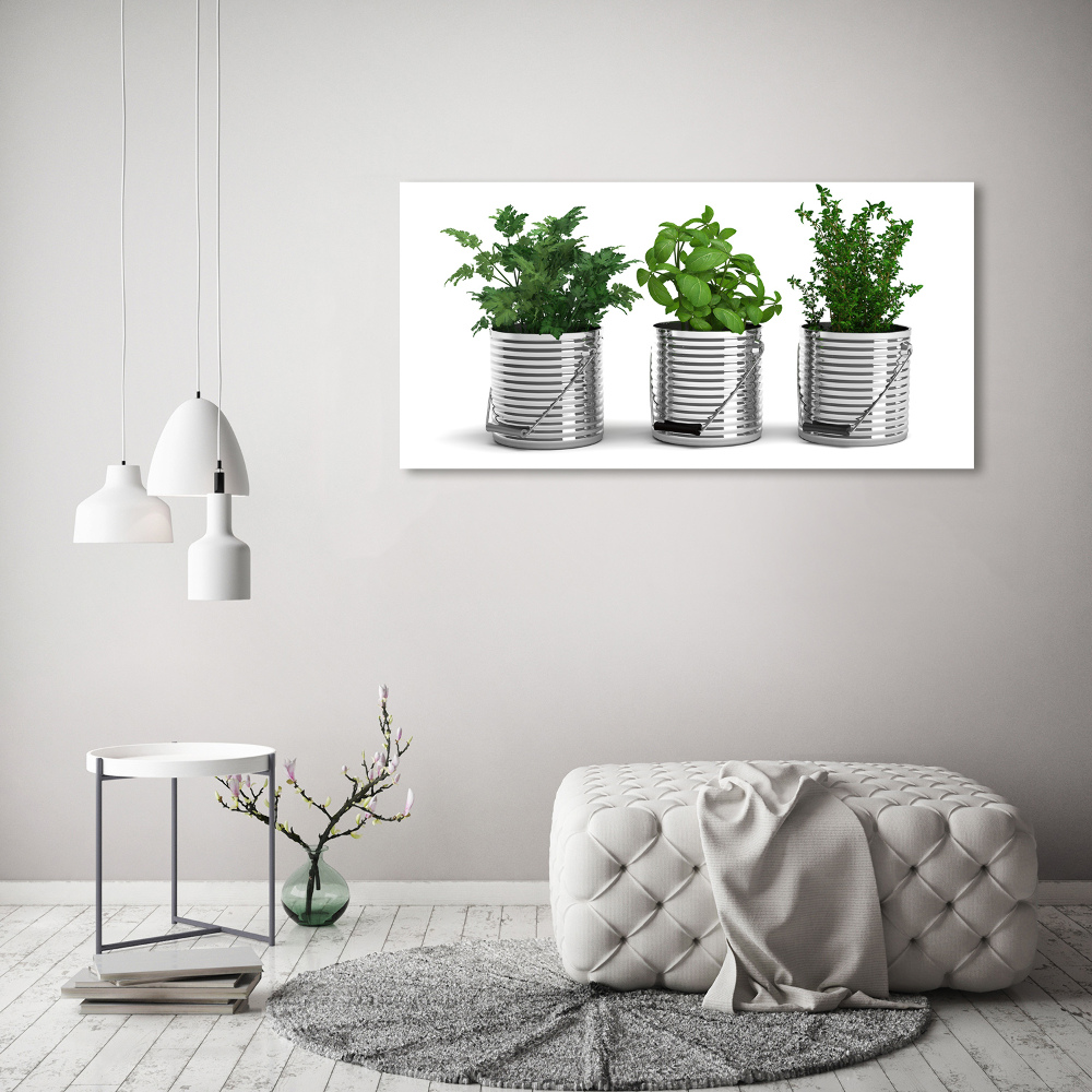 Tableau mural sur toile Plantes aromatiques