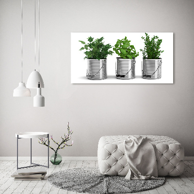 Tableau mural sur toile Plantes aromatiques