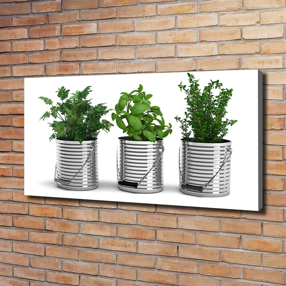 Tableau mural sur toile Plantes aromatiques