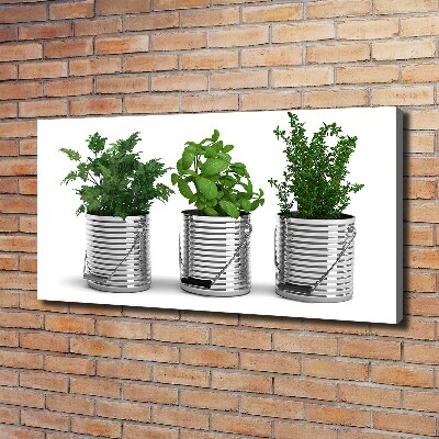 Tableau mural sur toile Plantes aromatiques