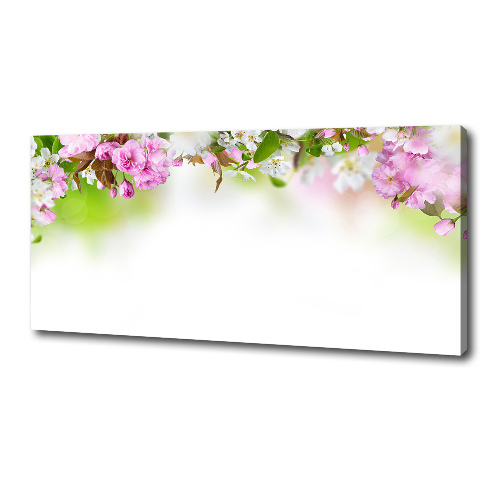 Tableau sur toile Fleurs de printemps