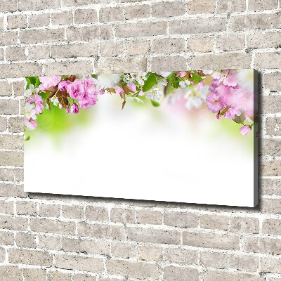 Tableau sur toile Fleurs de printemps