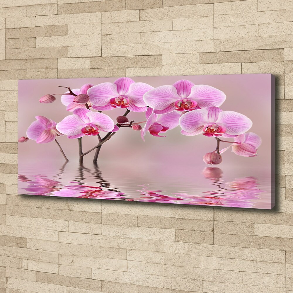 Tableau imprimé sur toile Orchidée rose