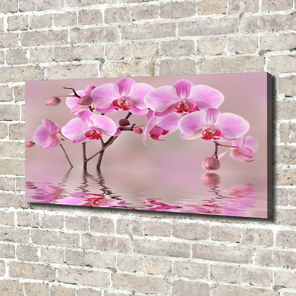 Tableau imprimé sur toile Orchidée rose