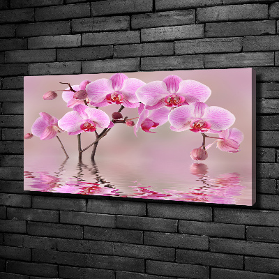 Tableau imprimé sur toile Orchidée rose