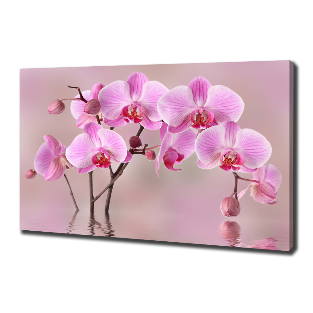 Tableau imprimé sur toile Orchidée rose