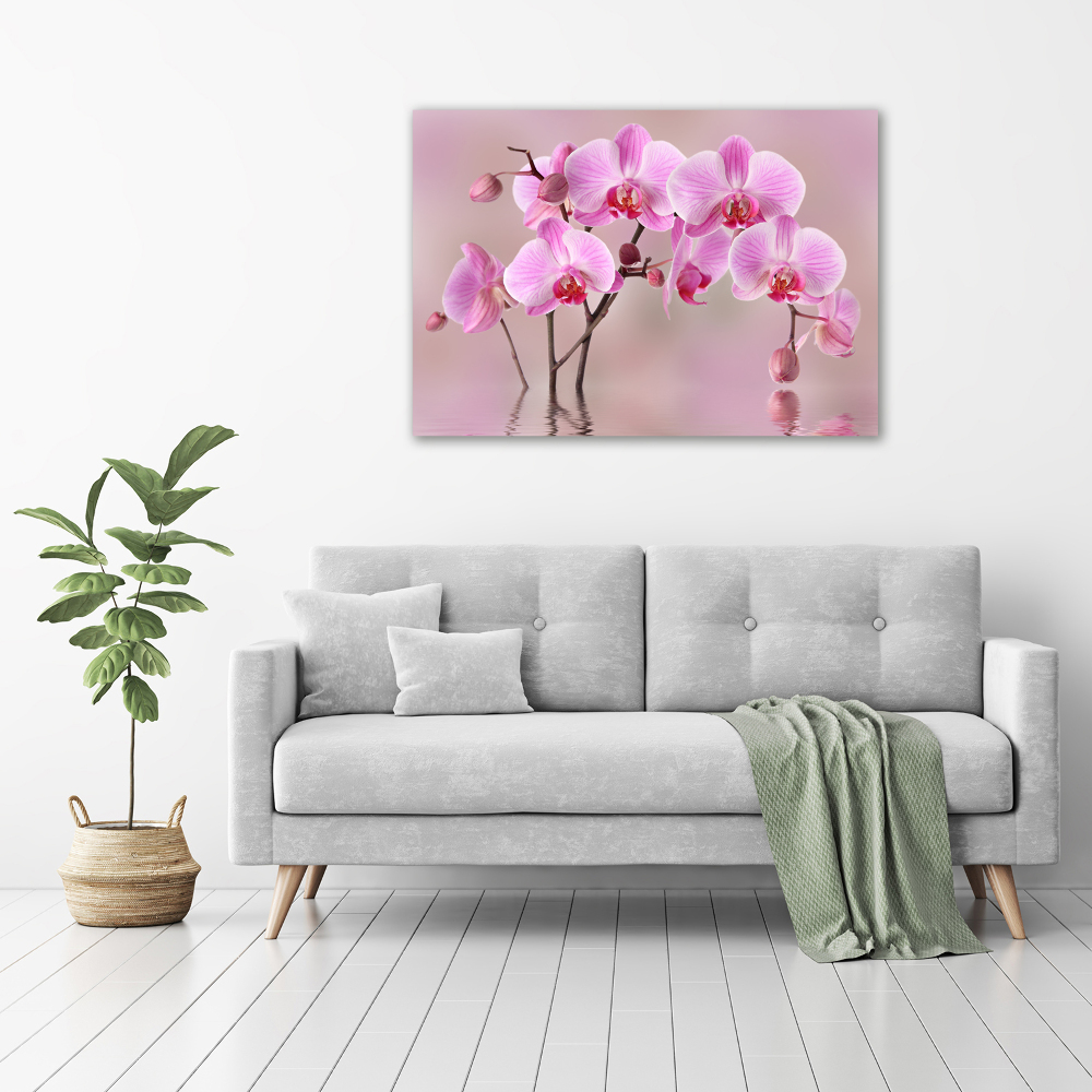 Tableau imprimé sur toile Orchidée rose