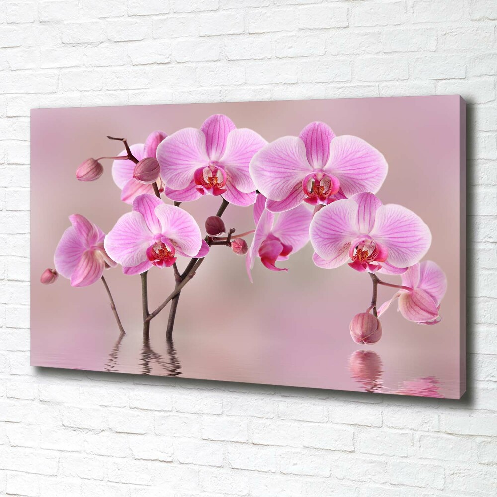 Tableau imprimé sur toile Orchidée rose