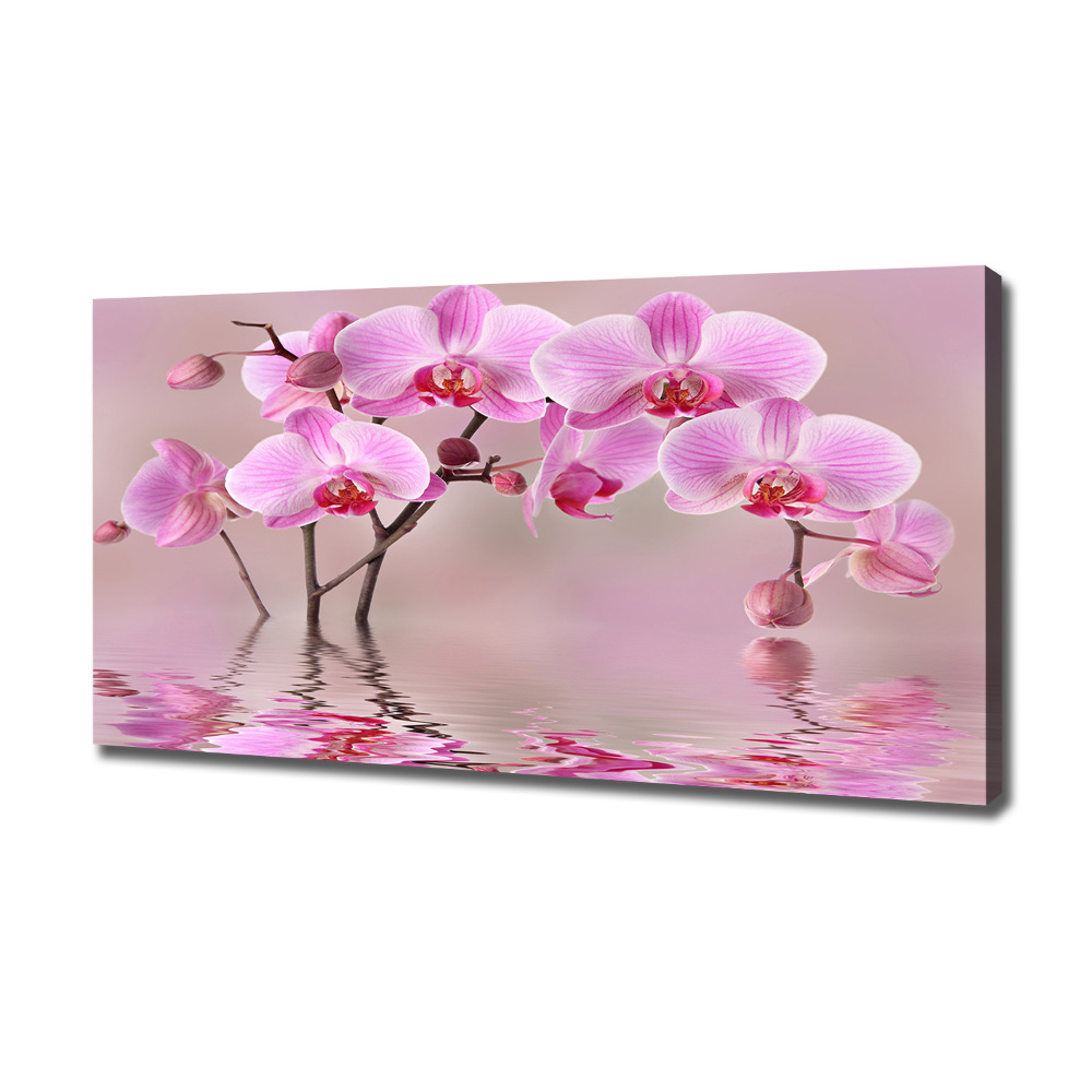 Tableau imprimé sur toile Orchidée rose