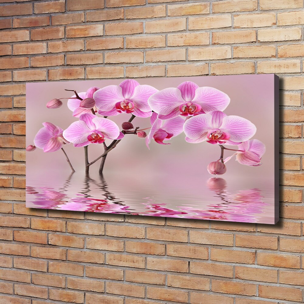 Tableau imprimé sur toile Orchidée rose