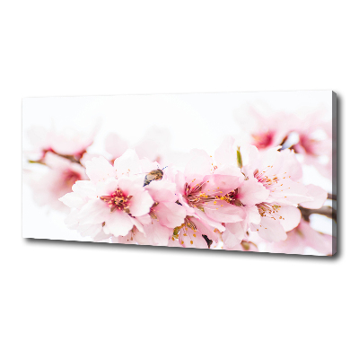 Tableau photo sur toile Cerisier en fleurs