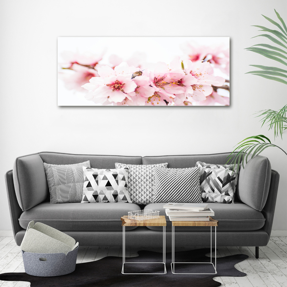 Tableau photo sur toile Cerisier en fleurs