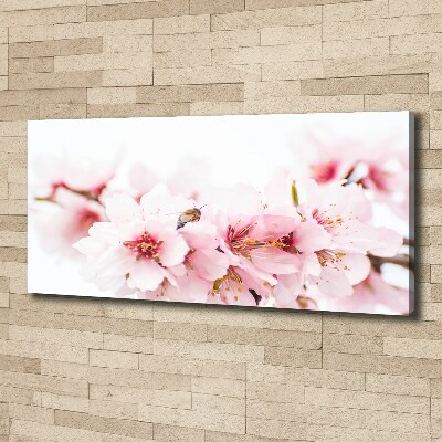 Tableau photo sur toile Cerisier en fleurs