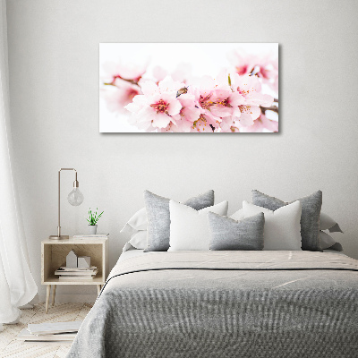 Tableau photo sur toile Cerisier en fleurs