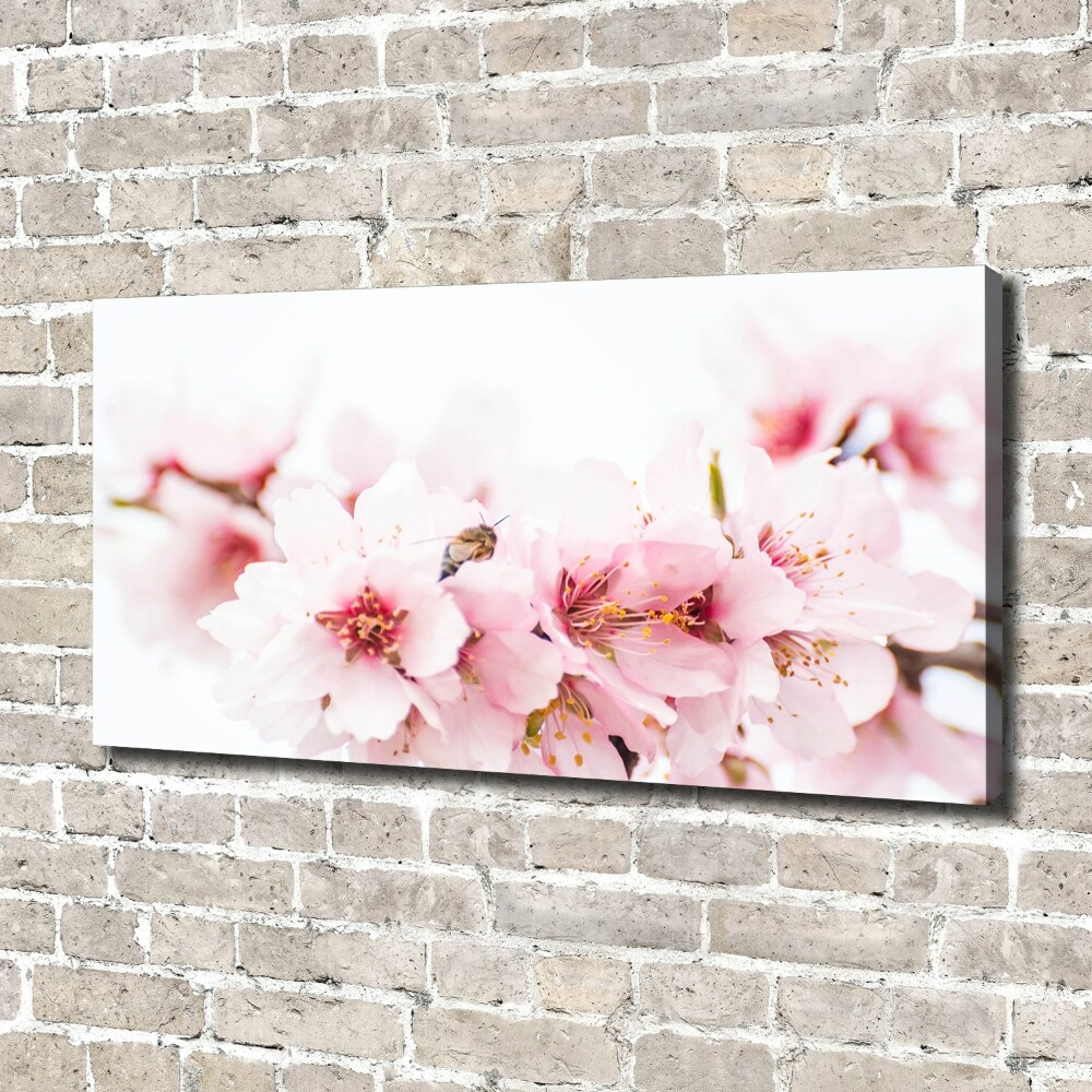 Tableau photo sur toile Cerisier en fleurs