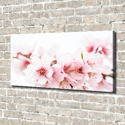 Tableau photo sur toile Cerisier en fleurs