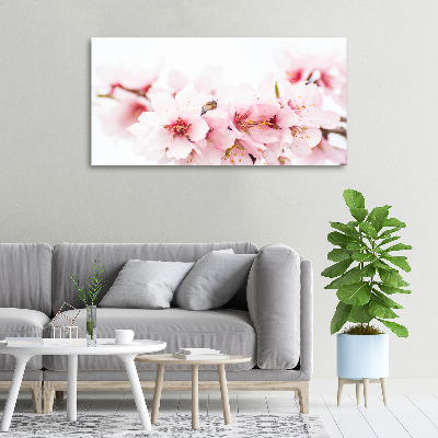 Tableau photo sur toile Cerisier en fleurs