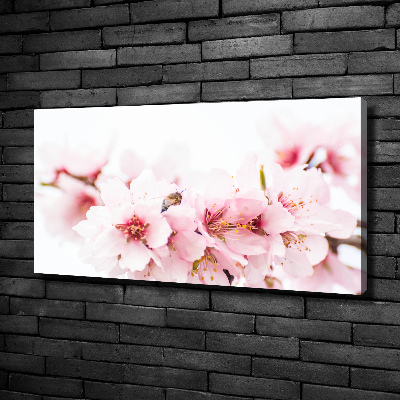 Tableau photo sur toile Cerisier en fleurs