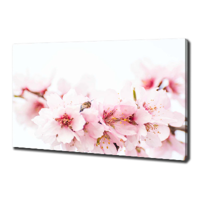 Tableau photo sur toile Cerisier en fleurs