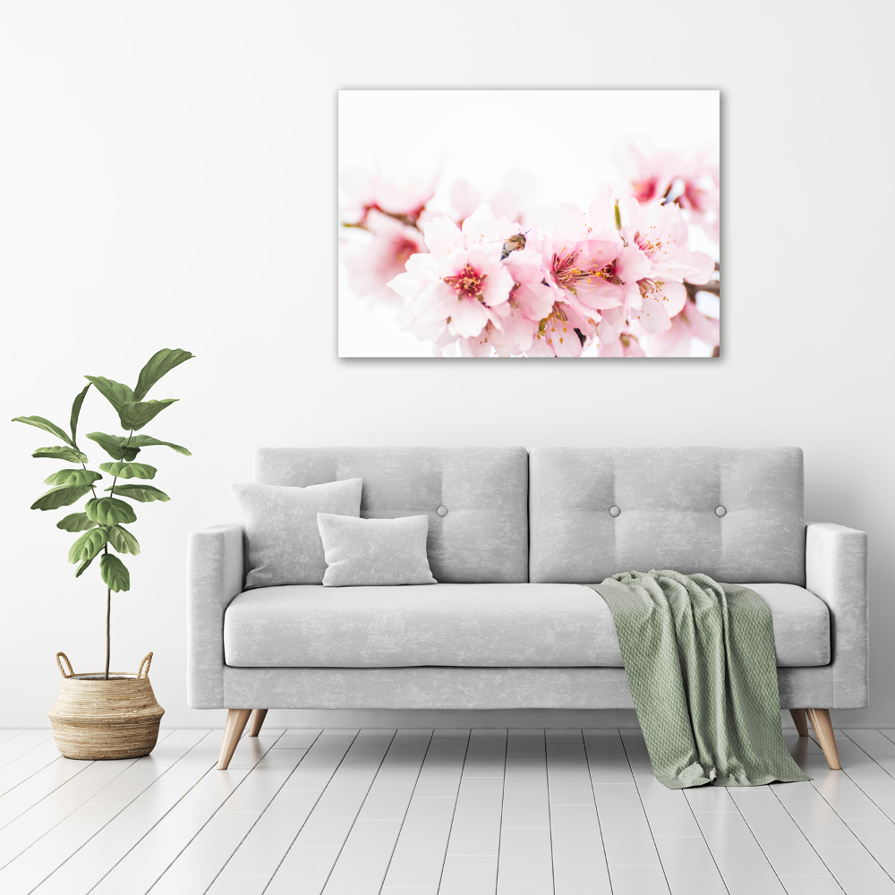 Tableau photo sur toile Cerisier en fleurs