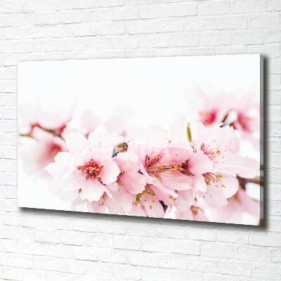 Tableau photo sur toile Cerisier en fleurs