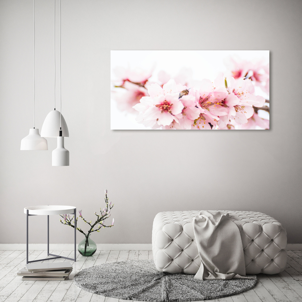 Tableau photo sur toile Cerisier en fleurs