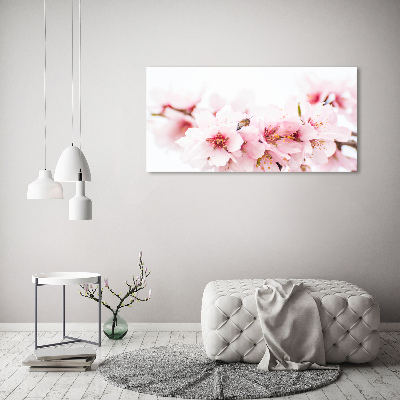 Tableau photo sur toile Cerisier en fleurs