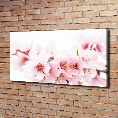 Tableau photo sur toile Cerisier en fleurs