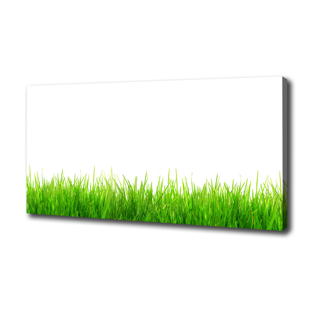 Tableau photo sur toile L'herbe