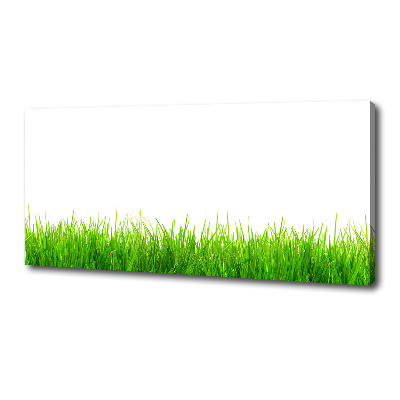 Tableau photo sur toile L'herbe