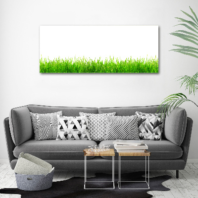 Tableau photo sur toile L'herbe